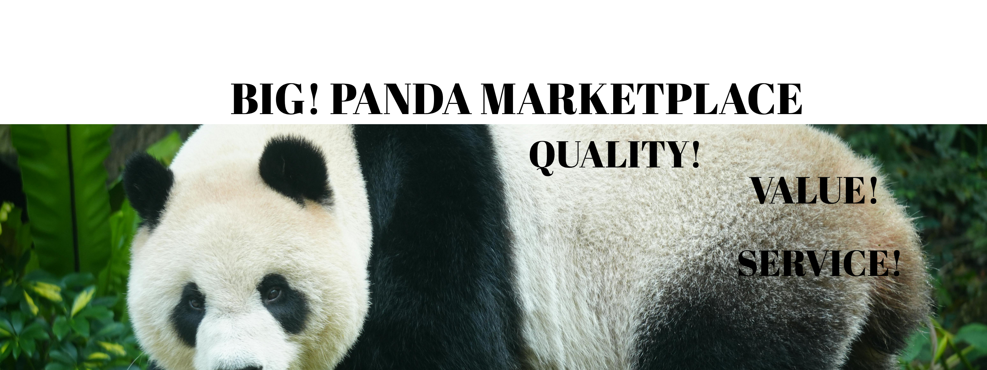 BIG! PANDA MARKETPLACE